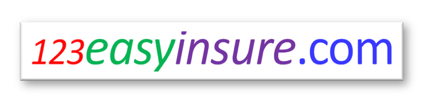 www.123EasyInsure.com     Float Logo v4